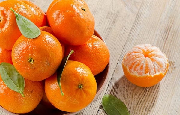 راهنمای خرید نارنگی ساتسوما اعلا + قیمت عالی